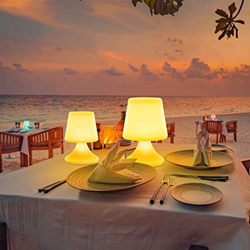 FUYO Tischlampe Outdoor, LED Akku Dimmbar Kabellos Tischleuchte mit Fernbedienung IP54 wasserdicht Tischlampe Atmosphäre Nachtlicht Tischlampe für Außen Esszimmer Schlafzimmer Camping Höhe 26cm von FUYO