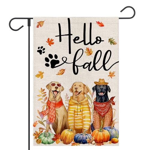 FUYUCHEN Gartenflagge mit Aufschrift "Hello Fall", 30,5 x 45,7 cm, vertikal, doppelseitig, Herbstblätter, Kürbisse, saisonale Erntedankfest, Urlaub, Außendekoration FUYUCHEN Gartenflagge mit Aufschrift "Hello Fall", 30,5 x 45,7 cm, vertikal, doppelseitig, Herbstblätter, Kürbisse, saisonale Erntedankfest, Urlaub, Außendekoration von FUYUCHEN