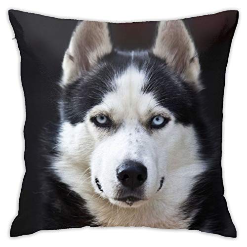 FUkker Kissenbezug, Husky'S Handsome Face Dog Funny Theme, dekorativer Überwurf-Kissenbezug, weiche Kissenbezüge, 40 x 40 cm, für Schlafzimmer, Sofa von FUkker