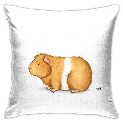 FUkker Kissenbezug, Meerschweinchen, süßes Kunst-Move-Darm, dekorativer Überwurf-Kissenbezug, weiche Kissenbezüge, 30 x 30 cm, für Schlafzimmer, Sofa von FUkker