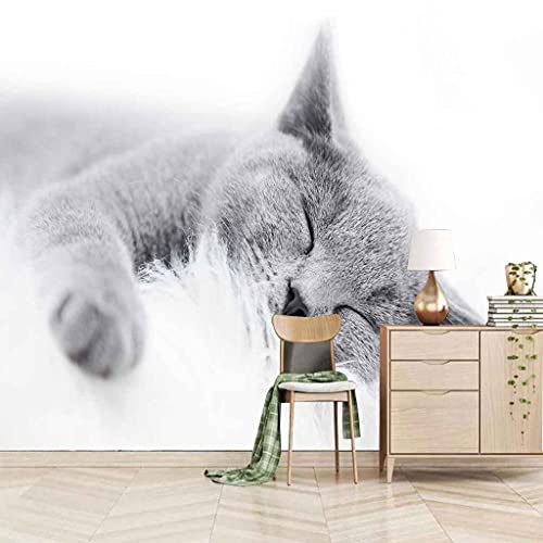 FVGKYS 3D Tapete Benutzerdefinierte Wandbild Tier Graue Katze Moderne Fototapete Für Schlafzimmer Hotelwohnzimmer Tv Hintergrund Wanddekoration Wandbild Kinderzimmertapete 200x150cm von FVGKYS