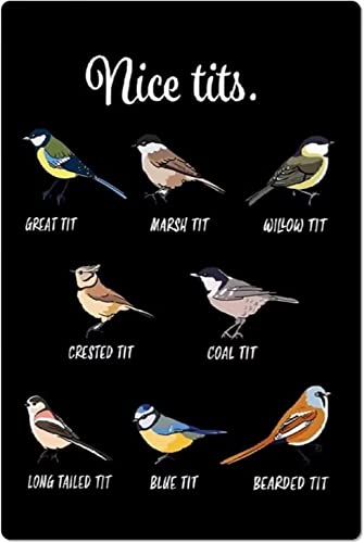 Arten von schönen Titten, Metallschilder, Tittenwissen, Aluminium-Poster, Vogel-Enzyklopädie, Plakette, Zuhause, Club, Klassenzimmer, Büro, Bauernhaus, Hinterhof, Wanddekoration, 20,3 x 30,5 cm Arten von schönen Titten, Metallschilder, Tittenwissen, Aluminium-Poster, Vogel-Enzyklopädie, Plakette, Zuhause, Club, Klassenzimmer, Büro, Bauernhaus, Hinterhof, Wanddekoration, 20,3 x 30,5 cm von FWJZDSP