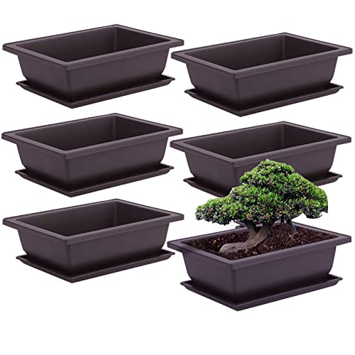 6 Stück Bonsai-Trainingstöpfe mit Tablett Rechteck Blumentopf Bonsai Schale Sukkulenten Klein Pflanztopf für Garten Wohnzimmer und Büro (L) von FXLTSBL