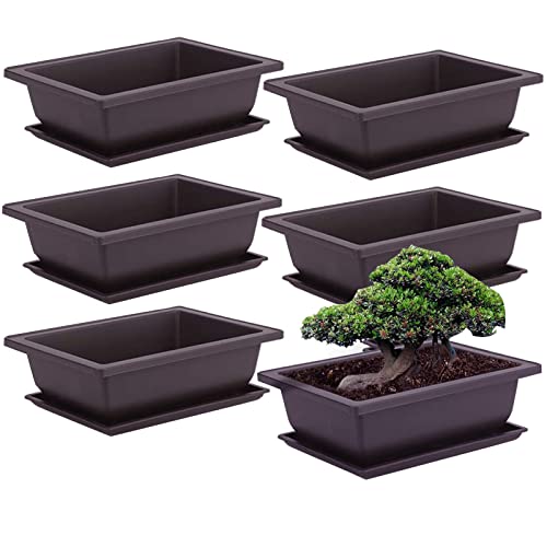 6 Stück Bonsai-Trainingstöpfe mit Tablett Rechteck Blumentopf Bonsai Schale Sukkulenten Klein Pflanztopf für Garten Wohnzimmer und Büro (S) von FXLTSBL