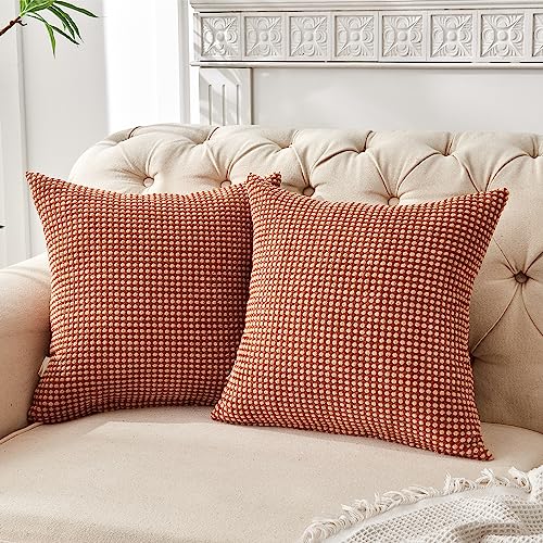 FY FIBER HOUSE 2er Set gemütliche Kissenbezüge Cord-Kissenhülle, dekorative Zierkissenbezüge für Couch, Bett, Sofa, Wohnzimmer, 40x40cm, Braun von FY FIBER HOUSE