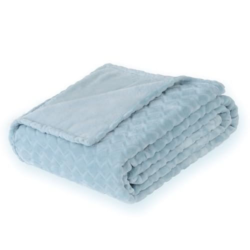 FY FIBER HOUSE Fleece Kuscheldecken mit der Schlangenlinie, extra weiche Flauschige Decken, leichte, gemütliche Mikrofaser Sofadecke/Wolldecke für Büro, Sessel und Camping, 150x200cm, Hellblau von FY FIBER HOUSE