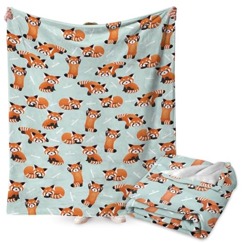 Red Panda Kuscheldecke für Kinder Flanell Decke Kinder Weich Flauschig Fleecedecke Karikatur interessant Bunt Tier Cartoon Geschenke 100x150CM von FYDZBSL
