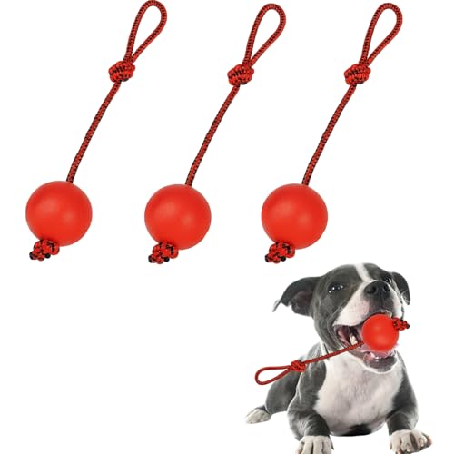 FYKZQWDS Hundeball am Seil, Flirtstange, Ball an einem Seil für Hunde, zum Fangen und Ziehen, bissfest und langlebig, geeignet für Training und Outdoor-Aktivitäten, 3 Stück FYKZQWDS Hundeball am Seil, Flirtstange, Ball an einem Seil für Hunde, zum Fangen und Ziehen, bissfest und langlebig, geeignet für Training und Outdoor-Aktivitäten, 3 Stück von FYKZQWDS