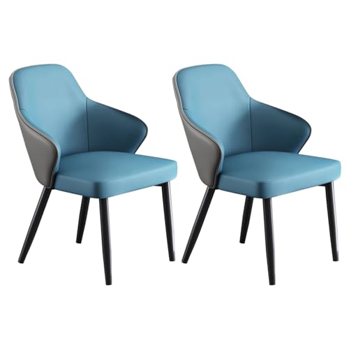 FYNNDM Moderne Esszimmerstühle aus Kunstleder, 2er-Set mit Metallbeinen, gepolsterte Küchenstühle für Wohnzimmer, Esszimmer und Restaurant von FYNNDM