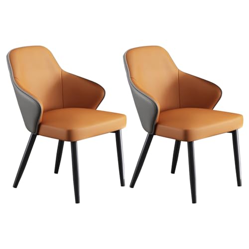 FYNNDM Moderne Esszimmerstühle aus Kunstleder, 2er-Set mit Metallbeinen, stilvolle gepolsterte Akzentstühle für Wohnzimmer, Esszimmer und Restaurant von FYNNDM