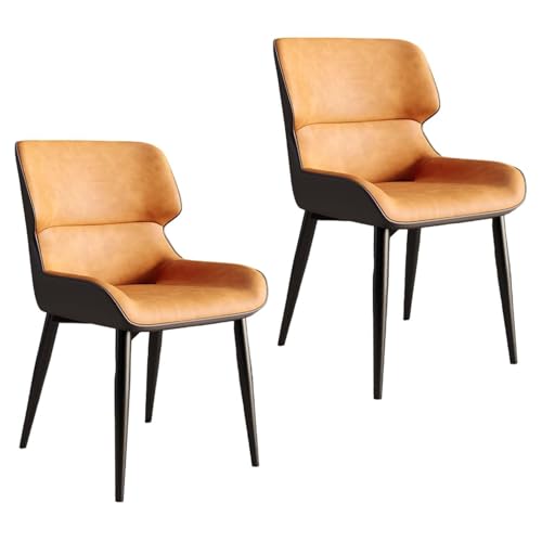 FYNNDM Moderne Esszimmerstühle aus Kunstleder, 2er-Set mit gepolsterter Sessel-Rückenlehne und Metallbeinen, stilvolle Küchenmöbel für Wohnzimmer oder Büro von FYNNDM