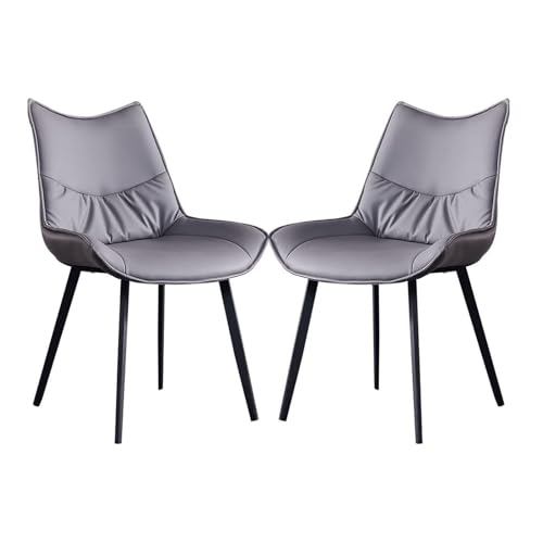 FYNNDM Moderne Esszimmerstühle aus PU-Leder, 2er-Set mit gepolsterten Sitzen und Metallbeinen. Bequeme Empfangsstühle für Küche, Lounge und Esszimmer. Stilvolle Möbel für das Wohnz von FYNNDM