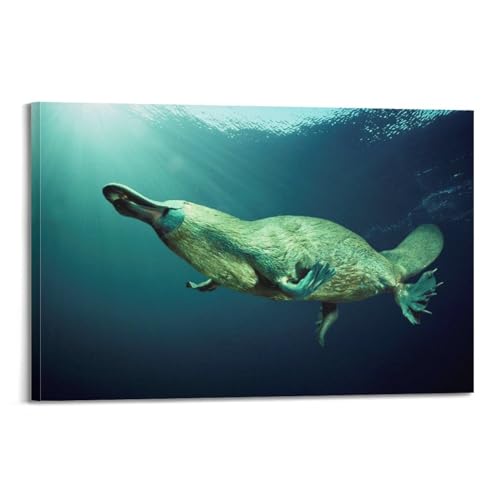 FYRN Tiere Schnabeltier Poster Wandkunst Druck Retro Ästhetische Raumdekoration Büro Dekorationen 40 x 60 cm Rahmen Stil FYRN Tiere Schnabeltier Poster Wandkunst Druck Retro Ästhetische Raumdekoration Büro Dekorationen 40 x 60 cm Rahmen Stil von FYRN