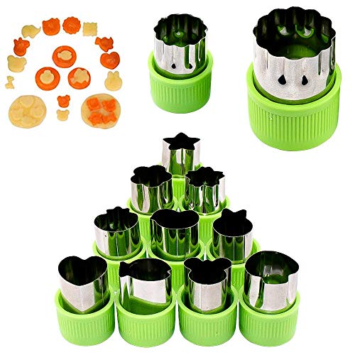 FYSL 12 Stück Fachmann Gemüse Ausstechformen, Plätzchen Ausstecher Set Edelstahl Ausstechformen für Kuchen, Keks, Sushi, Obst(12 Stile) von FYSL