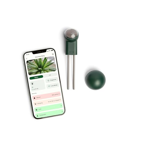 FYTA Beam Smarter Pflanzensensor + WiFi-Hub Misst Wasser, Temperatur, Licht, Düngebedarf - Feuchtigkeitsmessgerät, Bodenfeuchtesensor, Temperatursensor, Gießanzeiger Zimmerpflanzen - iOS Android App von FYTA