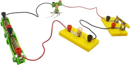 Elektromagnet-Experimentierset mit T-förmigem Spulensolenoid - Lehrmittel for Physik und Elektromagnetismus Elektromagnet-Experimentierset mit T-förmigem Spulensolenoid - Lehrmittel for Physik und Elektromagnetismus von FYYYSLKX