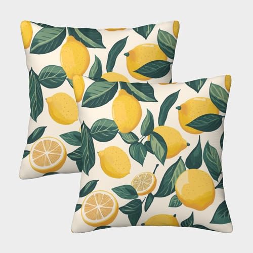 FZALUECVA Zitrone Kissenbezüge 2er Set Zierkissenbezug Kuschelkissen für Sofa Bed Auto Büro Cafe Garten Dekor 45x45cm FZALUECVA Zitrone Kissenbezüge 2er Set Zierkissenbezug Kuschelkissen für Sofa Bed Auto Büro Cafe Garten Dekor 45x45cm von FZALUECVA