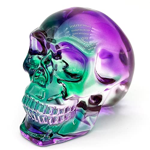 FZBHRO Crystal Skull Head Statue - Clear Skull Figur Glas Edelstein Halloween Dekor Geschenke für Frauen Beschichtung Grün Lila 2.8 FZBHRO Crystal Skull Head Statue - Clear Skull Figur Glas Edelstein Halloween Dekor Geschenke für Frauen Beschichtung Grün Lila 2.8 von FZBHRO