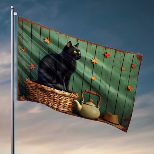 College-Zimmer-Schild, schwarze Katze im Korb mit Herbstblättern und Teekanne, Herbstdekoration, Outdoor-Flaggen für Zimmer, lustig (152 x 244 cm) von FZFN
