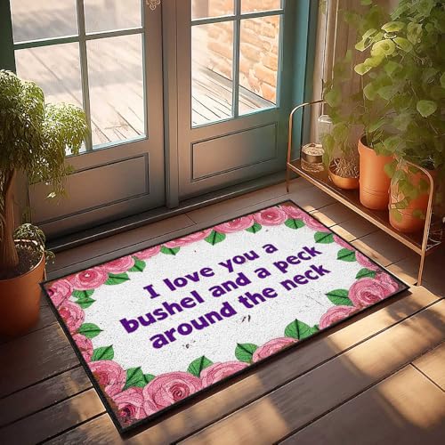FZFN Fußmatte für den Außenbereich, romantisches Zitat mit rosa Rosen, Bordüre, Frühlings-Veranda, Dekoration, Seehaus-Dekor (50 x 80 cm) von FZFN