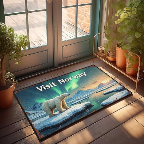FZFN Winter-Fußmatte, Motiv: Eisbär beobachtet unter den Nordlichtern, Fußmatte, Heimdekoration, Teppiche für Küche (65 x 90 cm) von FZFN