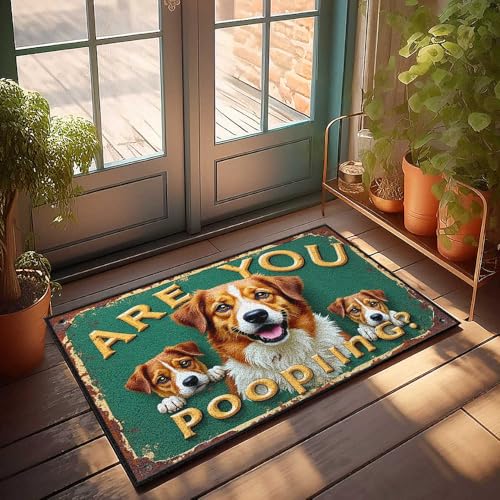 Fußmatte für die Veranda, Motiv: "Are You Pooping?" Eine niedliche Hunde-Abfrage-Fußmatte, Raumsachen, Herbstdekoration, für den Außenbereich (40 x 60 cm) von FZFN