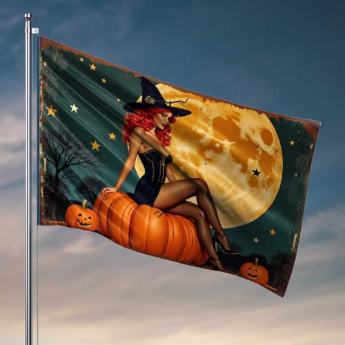 Lustige Bar-Dekoration, Hexe in Schwarz: Halloween-Kürbis-Pose, Flagge, Pool-Dekoration, Outdoor, Teenager, Jungen, Raumdekoration (152 x 244 cm) von FZFN