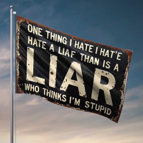 Lustige Flaggen, rostiges Schild: "One Thing I Hate More Than A Liar Is A Stupid Person", Outdoor-Dekorationen für Terrassenflaggen für Jungenzimmer (30 x 45 cm) von FZFN