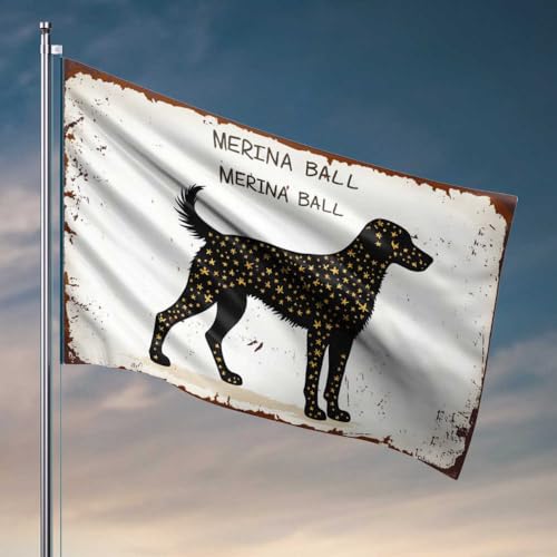 Raumflaggen für Jungs, Merina-Ball: Sternennacht, Silhouette, Flagge, Mann, Cabe-Dekoration, lustige Wohnheim-Flaggen (30 x 45 cm) von FZFN