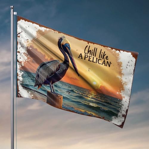 Wohnheim-Dekorationen für College-Jungs, Chill Like A Pelikan: Sonnenuntergang, Gelassenheit am Meer, Flagge für Fitnessstudios, Markierungsflaggen (60 x 90 cm) von FZFN