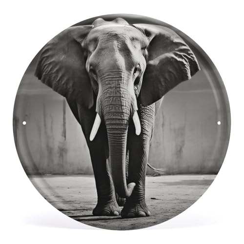 FZMVSQH Wandbild, schwarzer und weißer Elefant, bedruckt, rund, Eisen, zum Aufhängen, Wandkunst, Dekoration für Schlafzimmer, Wohnzimmer, Badezimmer, Dekoration, Eisenmalerei, 30 x 29 cm FZMVSQH Wandbild, schwarzer und weißer Elefant, bedruckt, rund, Eisen, zum Aufhängen, Wandkunst, Dekoration für Schlafzimmer, Wohnzimmer, Badezimmer, Dekoration, Eisenmalerei, 30 x 29 cm von FZMVSQH