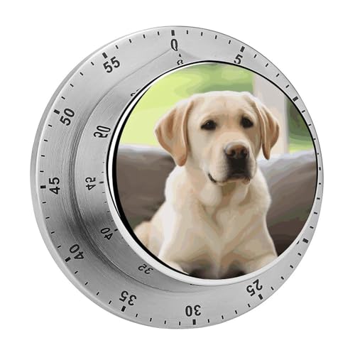 Mechanischer Edelstahl-Timer, niedlicher Labrador-Hund, bedruckt, Küchentimer, strapazierfähig, mechanischer Timer, Koch-Timer für Küche, für Training, Backen, Spielen oder Arbeit Mechanischer Edelstahl-Timer, niedlicher Labrador-Hund, bedruckt, Küchentimer, strapazierfähig, mechanischer Timer, Koch-Timer für Küche, für Training, Backen, Spielen oder Arbeit von FZMVSQH