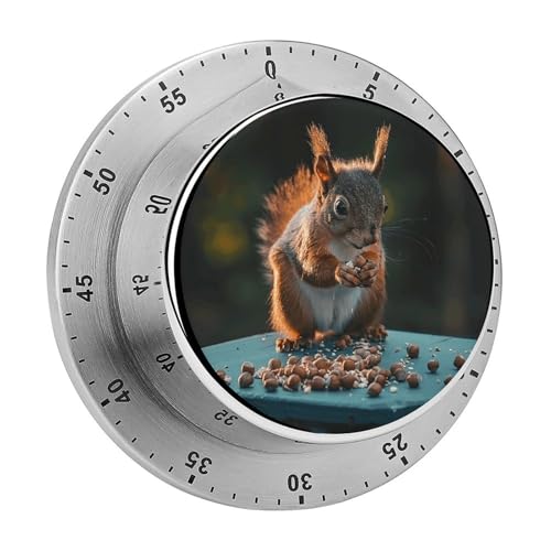 Mechanischer Küchentimer mit Nüssen und Eichhörnchen, manueller 60-Minuten-Aufzieh-Timer, lauter Timer für Schwerhörigkeit, keine Batterien erforderlich, Countdown-Timer zum Kochen, Klassenzimmer Mechanischer Küchentimer mit Nüssen und Eichhörnchen, manueller 60-Minuten-Aufzieh-Timer, lauter Timer für Schwerhörigkeit, keine Batterien erforderlich, Countdown-Timer zum Kochen, Klassenzimmer von FZMVSQH