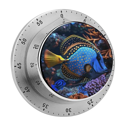Mechanischer Küchentimer mit bunten tropischen Fischen, manueller 60-Minuten-Aufzieh-Timer, lauter Timer für Schwerhörigkeit, keine Batterien erforderlich, Countdown-Timer zum Kochen, Klassenzimmer Mechanischer Küchentimer mit bunten tropischen Fischen, manueller 60-Minuten-Aufzieh-Timer, lauter Timer für Schwerhörigkeit, keine Batterien erforderlich, Countdown-Timer zum Kochen, Klassenzimmer von FZMVSQH