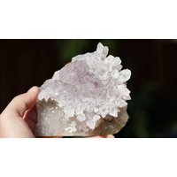 xl Blume Amethyst. Roh Druzy Pink Amethyst Cluster. Kaktus Wachstum. Aaa+ Qualität. Brasilien Mine Geschlossen Amethyst von FZMinerals