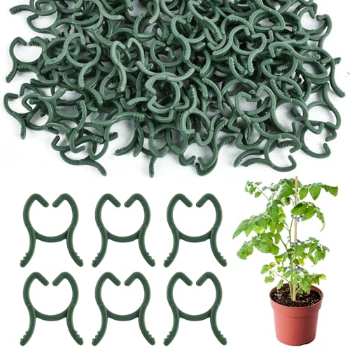 100 Stück Klein Pflanzenclips Grün, Tomaten Rankhilfe, Wiederverwendbar Pflanzenklammern TomatenclipsKlein, Gartenklammern für Unterstützen Pflanzen Gemüse Obst, Pflanzen Clips für Kletterpflanzen (A) 100 Stück Klein Pflanzenclips Grün, Tomaten Rankhilfe, Wiederverwendbar Pflanzenklammern TomatenclipsKlein, Gartenklammern für Unterstützen Pflanzen Gemüse Obst, Pflanzen Clips für Kletterpflanzen (A) von FZQBEY