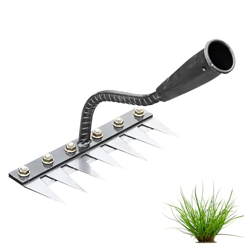 Garden Harke, Gartenrechen, Rechen Garten Unkrauthacke, Unkraut Entferner Gerät, Gartengeräte, Grabegabel, Gartenwerkzeug Kohlenstoffstahl für Jäten Lockern Säen (7 Zahnstahl) von FZQBEY