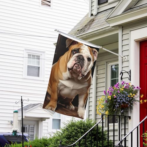 Flagge für den Außenbereich, 90 x 152 cm, robuste Gartenflagge, Allwetter-Gartenflagge, Englische Bulldogge, Willkommensflagge, doppelseitige Hausflagge mit Messingösen, Banner für Party Flagge für den Außenbereich, 90 x 152 cm, robuste Gartenflagge, Allwetter-Gartenflagge, Englische Bulldogge, Willkommensflagge, doppelseitige Hausflagge mit Messingösen, Banner für Party von FZQVSLCM