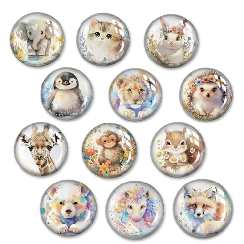 12 Stückmagnete Tiere ,Magnet Set,kühlschrank Magnete Tiere,kühlschrankmagnete,Magnete für glasmagnettafel,Magnete Set 12 Stückmagnete Tiere ,Magnet Set,kühlschrank Magnete Tiere,kühlschrankmagnete,Magnete für glasmagnettafel,Magnete Set von FZSECRIU