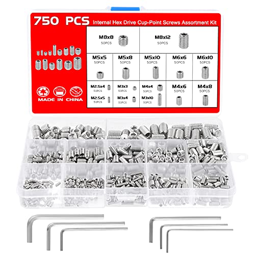 Faankiton 750 Stück Madenschrauben Set, M2.5 M3 M4 M5 M6 M8 Madenschrauben Sortiment Set, Innensechskant Gewindestifte Schrauben mit Inbusschlüsseln, Wurmschraube, Sechskantkopf Schrauben (Silver) von Faankiton