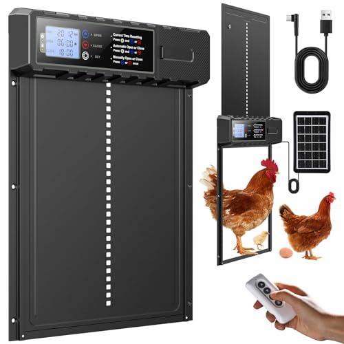 FabStyl Automatische Hühnerklappe Solar in XL großer Größe 27,5 x 36 cm, Schwarz Hühnerstall mit USB-C-Ladung und 3 Modi, Antiklemmschutz und Wetterfestem Aluminiumlegierung von FabStyl