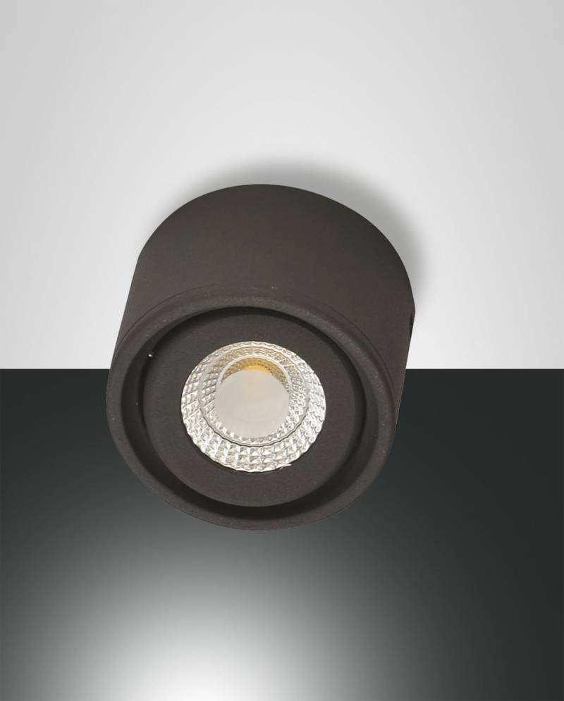LED Aufbauleuchte anthrazit Fabas Luce Anzio 540lm 3000K schwenkbar von Fabas Luce