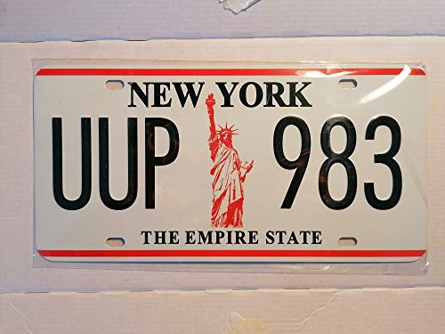 Metallschild "New York the Empire State" von Fabbri