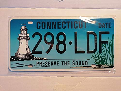 Platte Amerikanische USA Lizenz Flache Connecticut Preserve The Sound von Fabbri