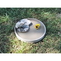 Handgemachte Deko Schale Aus Beton Mit Kleiner Frosch Figur Auf Einem Monstera Blatt Handgemachte Deko Schale Aus Beton Mit Kleiner Frosch Figur Auf Einem Monstera Blatt von FabelhafteTonWelt