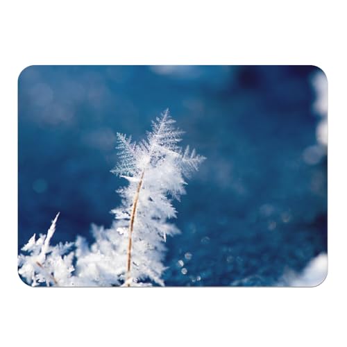 4 Platzsets mit Unterseite aus Kork, Grashalm, Frostbedeckung, Schneeflocke, Winter, groß, 39,5 x 28,5 cm von Fabulous