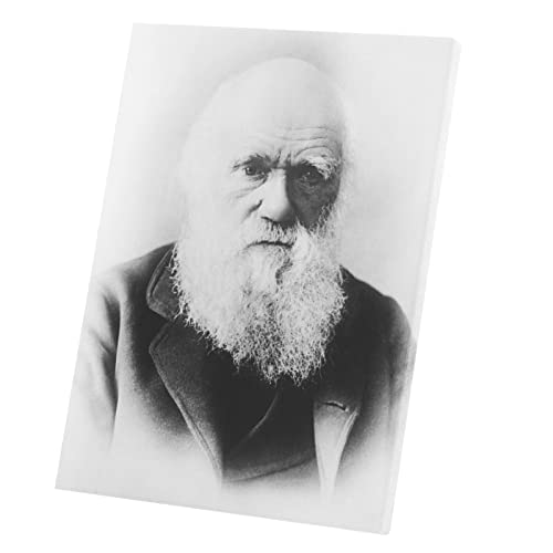 Fabulous Druck auf Leinwand Charles Darwin Wissenschaftler Antikes Foto (40 cm x 54 cm) von Fabulous