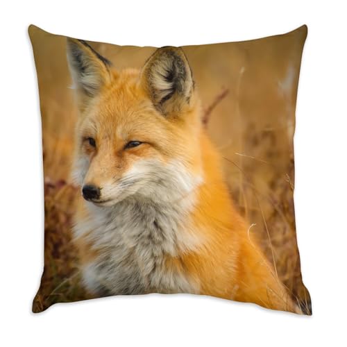 Fabulous Kissen aus weißem Samt – wunderschöne Fuchs-Wiese Wildnis – 40 x 40 cm – samtiges Gefühl – Bezug und Kissen inklusive Fabulous Kissen aus weißem Samt – wunderschöne Fuchs-Wiese Wildnis – 40 x 40 cm – samtiges Gefühl – Bezug und Kissen inklusive von Fabulous