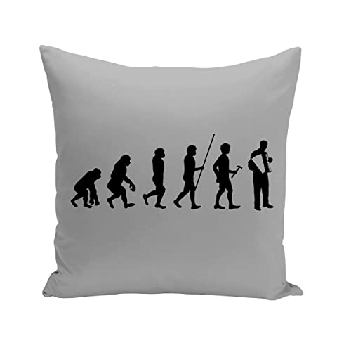 Fabulous Kissen mit Kissenbezug 40x40 cm Evolution Akkordeon Musette Instrument Musiker Frankreich von Fabulous