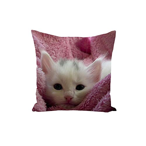 Fabulous Kissenbezug White Kitten in rosa Handtuch Nette entzückende Süße Tiere Haustiere 40x40cm von Fabulous